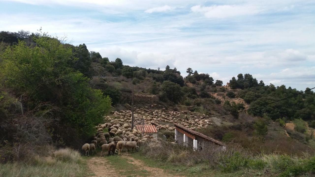 Casa Rita Villa Morella Esterno foto