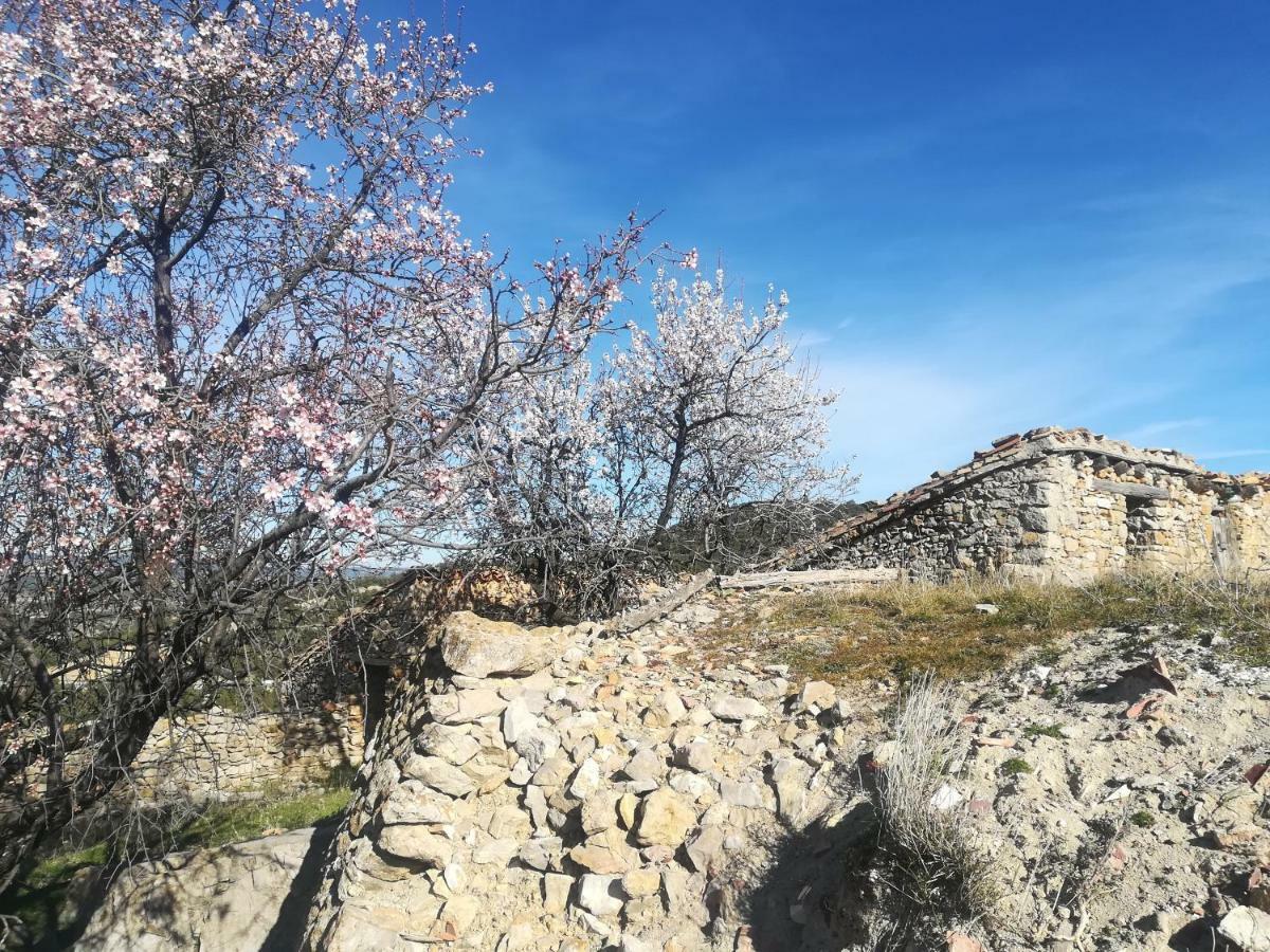 Casa Rita Villa Morella Esterno foto